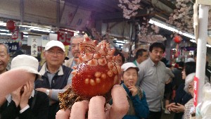 20150426 - VRẑ΂̎|_15