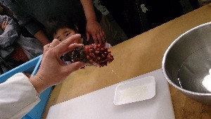 20150426 - VRẑ΂̎|_18