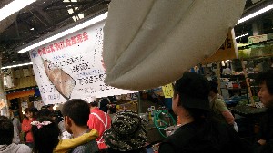 20150426 - VRẑ΂̎|_24