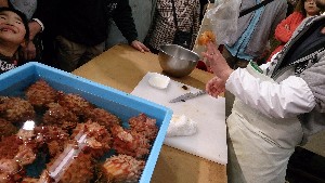 20150426 - VRẑ΂̎|_29