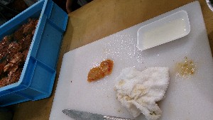 20150426 - VRẑ΂̎|_30