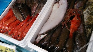 20150509 - T̔ł|_36