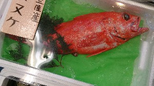 20150516 - T̔ł|_40