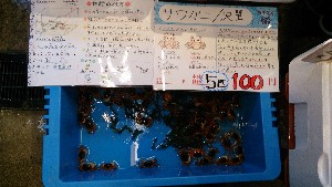 DSC_2674.jpg