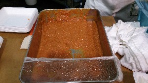 DSC_2783.jpg