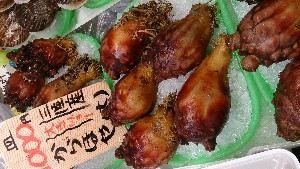 DSC_2787.jpg