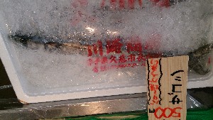 DSC_2792.jpg