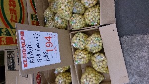 DSC_2807.jpg