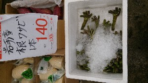 DSC_2808.jpg