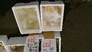 DSC_2809.jpg