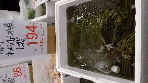 DSC_2810.jpg