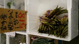 DSC_2811.jpg