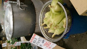 DSC_2812.jpg
