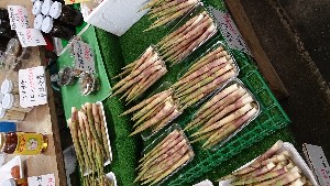 DSC_2823.jpg