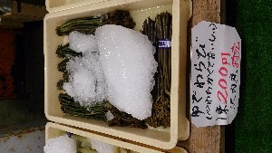 DSC_2828.jpg