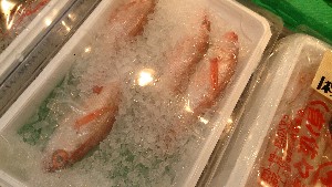 20150606 - T̔ł|_47
