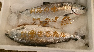 20150606 - T̔ł|_48