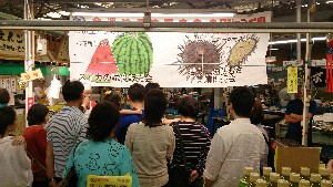 20150607 - �k�E�j�������ƃE�j�̑�����|_3