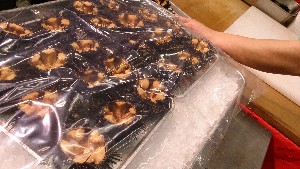 20150607 - �k�E�j�������ƃE�j�̑�����|_6