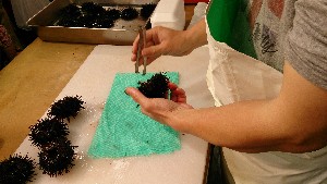 20150607 - �k�E�j�������ƃE�j�̑�����|_11