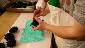 20150607 - �k�E�j�������ƃE�j�̑�����|_12