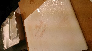 20150607 - �k�E�j�������ƃE�j�̑�����|_17