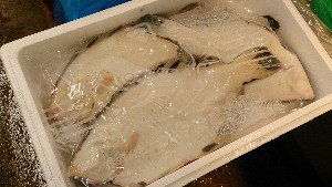 20150613 - T̔ł|_32