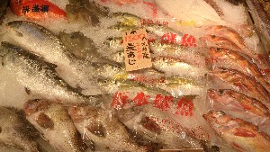 20150627 - T̔ł |_43