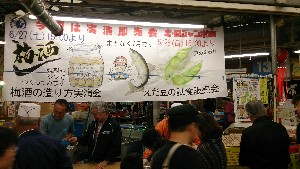 20150628 - }̎H |_15