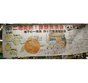 20150705 - {̔~Â̌ |͋y삳񂪎BĂ܂II_1