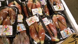 20150704 - T̔ł |_2
