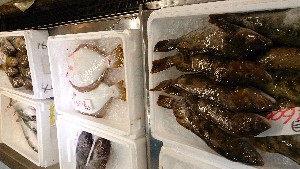 20150704 - T̔ł |_29