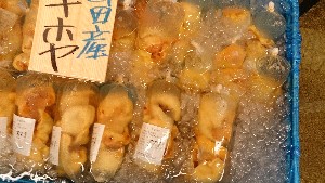 20150704 - T̔ł |_37