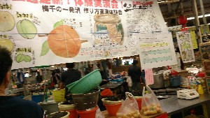 20150704 - {̔~Â̌ |_5