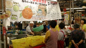 20150704 - {̔~Â̌ |_6