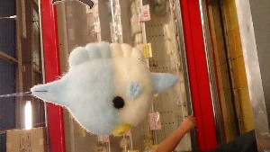 20150711 - ~̌ -_5
