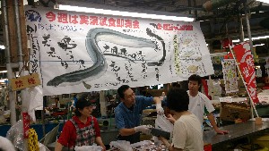 DSC_3756.jpg