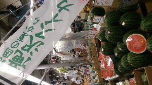 20150725 - T̔ł -_13
