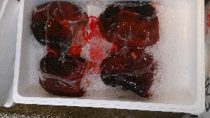 20150725 - T̔ł -_30