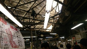 20150726 - ؃oubN̐؂藧Ĕ̔ -_14