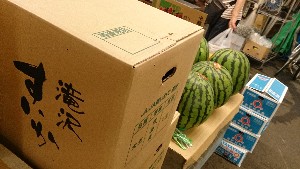 20150801 - T̔ł -_19