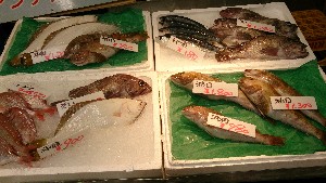 20150801 - T̔ł -_26