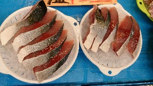 20150801 - T̔ł -_31
