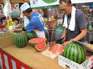 20150801 - ̎H -_7