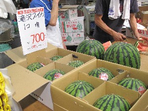20150801 - ̎H -_11