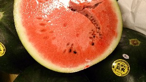 20150808 - ~s -_22
