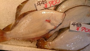 20150808 - ~s -_33