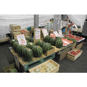 DSC01540(1).jpg