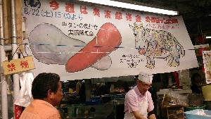 20150822 -^̔ނ؂藧Ď-_1