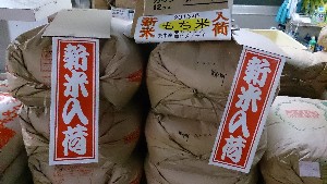 20150926 - T̔ł -_1